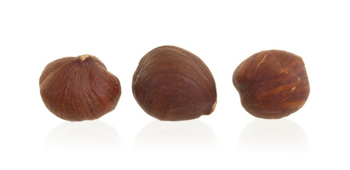 Three hazelnuts isolated