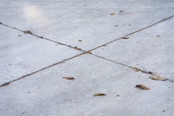 cement road and a few of dry leaf