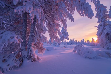 Fototapete Pantone 2022 very peri Winterlandschaft mit Wald, Wolken und Sonne