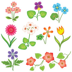 Flower set. Nasturtium, primula, viola, anemone, tulip, gowan, dog-daisy, petunia. Spring flowers. Floral symbols with leaves. Color icons. May be used in cuisine. Vector isolated. 