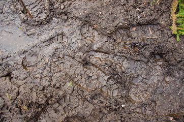Footprint in the dirt. Brown road dirt with footprints. Background photo texture. Foot mark on the jungle trail. shoeprints in the mud. Dirt field close up background. needle branches