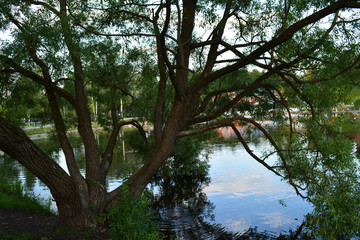 Городской парк. Сергиев Посад. 3