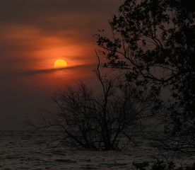 Fototapeta na wymiar sun rise
