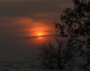Fototapeta na wymiar sun rise