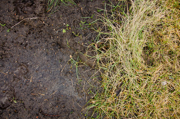 Footprint in the dirt. Brown road dirt with footprints. Background photo texture. Foot mark on the jungle trail. shoeprints in the mud. Dirt field close up background.