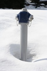 Schild hydrant