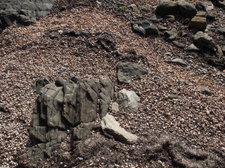 Saint-Cast-le-Guildo
