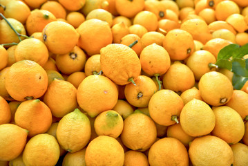 Markstand mit Zitronen