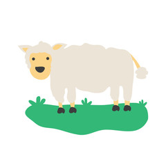 Sheep smiling. Cheerful sheep