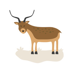Fototapeta premium Vector Illustration of a Gazelle