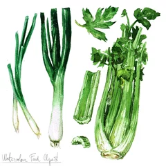 Küchenrückwand glas motiv Watercolor Food Clipart - Celery, leek and spring onions © nataliahubbert