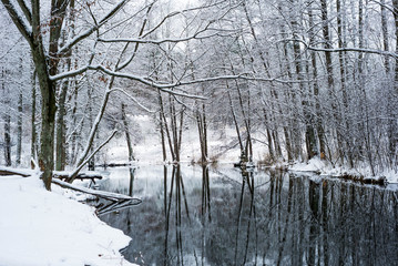 River shore during winter