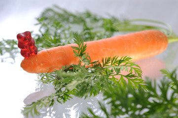 Ernährung - Nourishment