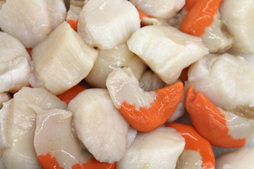 noix de saint-jacques