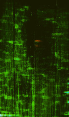 Obraz premium spooky green door