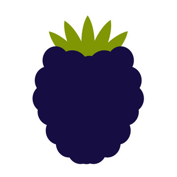 purple blackberry fruit with green leaves clip art preview