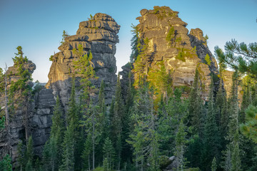 trees on mountain rocks
