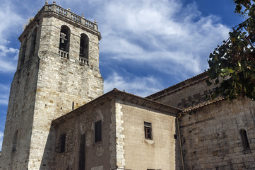 Fototapeta na wymiar Monasterio de San Pedro de Besalú (Gerona-España)