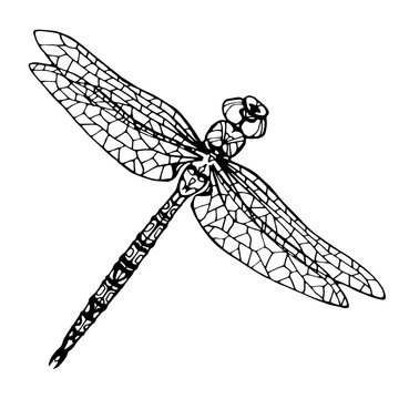 illustration with dragonflies