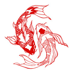 Fototapeta premium koi fish; ying yang symbol
