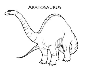illustration of apatosaurus; kind of dinosaur