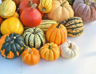 Pumpkins and squashes