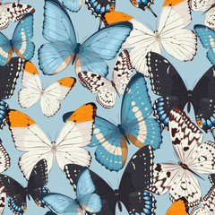 Fototapety  Kolorowe motyle bez szwu