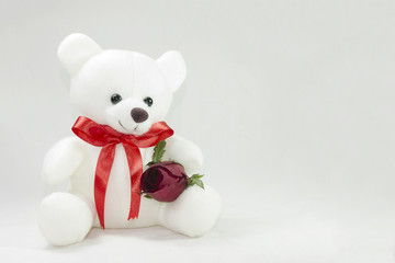 White bear doll with Red Rose on white background