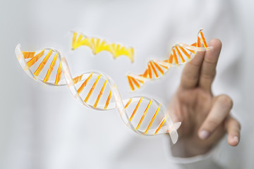 dna