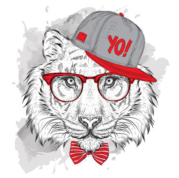The poster with the image tiger portrait in hip-hop hat. Vector illustration.