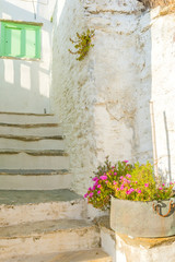 Obraz na płótnie Canvas Typical greek traditional houses in Mykonos, Greece.