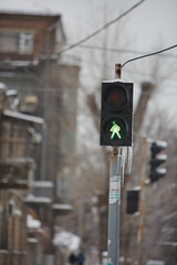 green traffic light icicles
