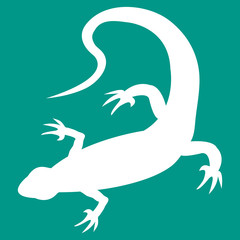 Stylized icon of  lizard in white on a colored background