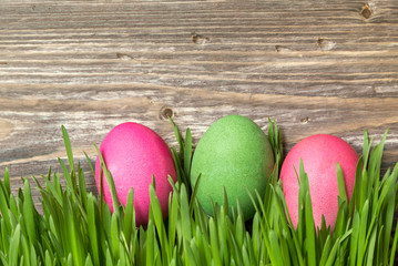Easter eggs in the grass
