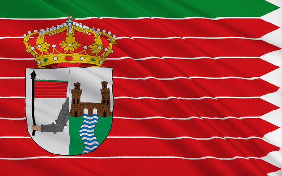 Flag of Zamora is a city of western Spain