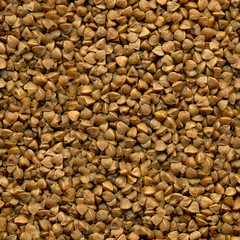 Seamless texture of buckwheat