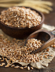Whole spelt grain and spelt ears on the table