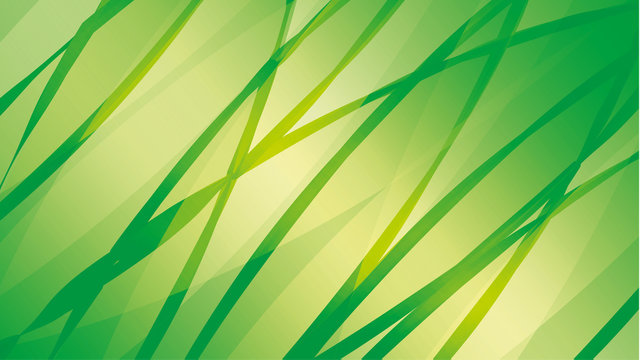 Abstract green Background Texture