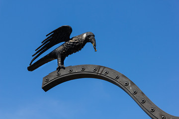 Raven with golden ring