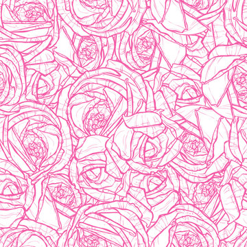 pattern with drawing of pink roses, flower texture