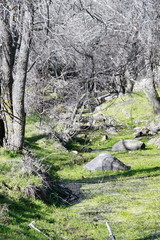 Puente de piedra en Fresnedillas de la Oliva, Madrid,