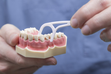 Close up dental instructor hands demonstrating how to clean in between teeth with floss on model of...