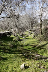 Camino y arroyo, piedras en Fresnedillas de la Oliva, Madrid,
