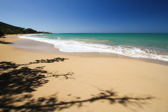 Plage De Deshaies En Guadeloupe