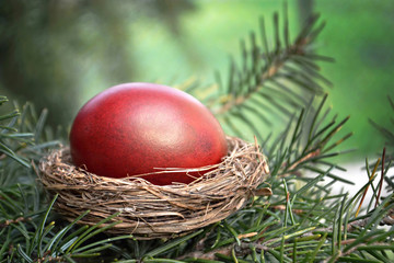 Easter nest on the tree