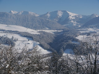 Fototapeta premium beautiful snowy landscape 