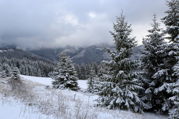 winter scene in mountains