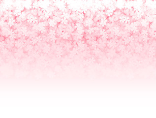 桜　春　花　背景