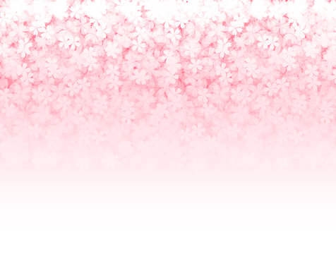 桜　春　花　背景