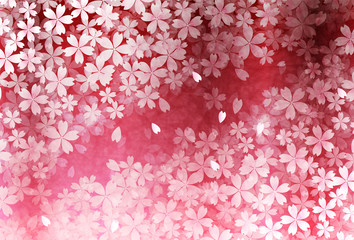 桜　春　花　背景